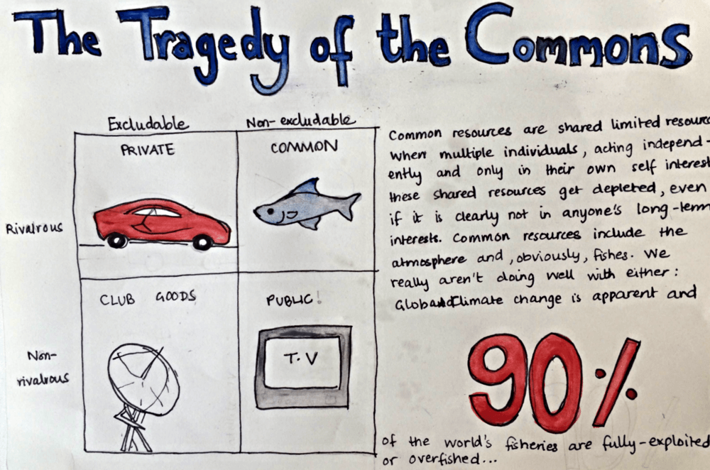in the essay tragedy of the commons what is referred to as common