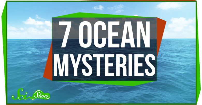 7 Things We Don T Know About The Ocean Kidpid