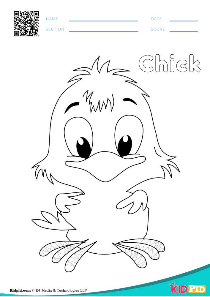 Bird Coloring Pages for Preschoolers - Free Printables (PDFs) - Kidpid