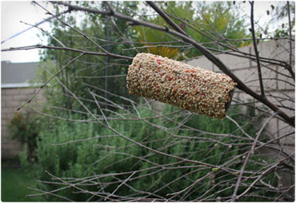 DIY Bird Feeder Toilet Paper Roll Crafts For Kids