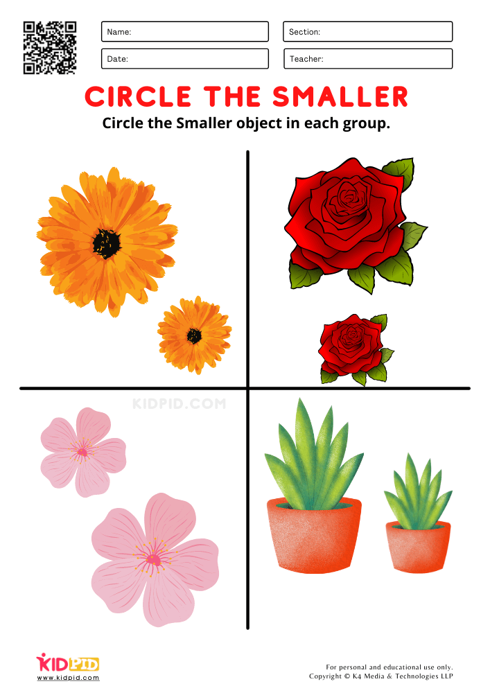 Big ; Small Worksheets for Preschool - Free Printabl Big and small worksheet of flowers