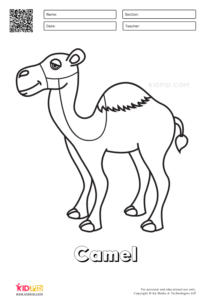 Farm Animal Coloring Printable Worksheets Camel