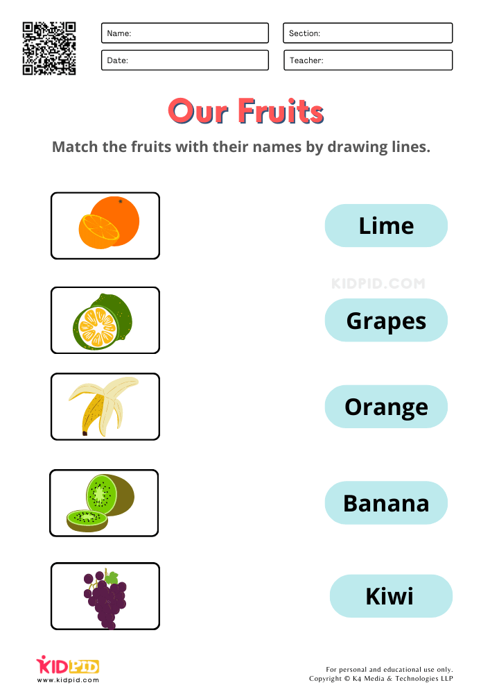 Fruits and Vegetables / FREE Printable Worksheets for Kindergarten Match The Fruit