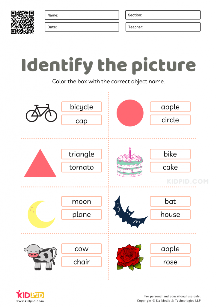 Identifying Objects Words Worksheet Identifying objects