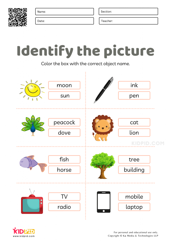 Identifying Objects Words Worksheet Fun activity of identifying objects
