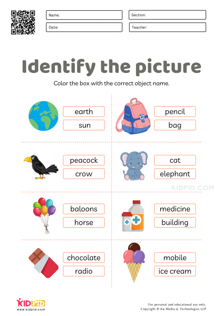 Identifying Objects Words Worksheets for Kids Kidpid