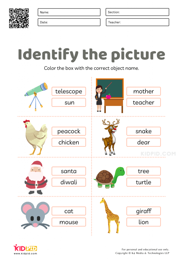 Identifying Objects Words Worksheet Object Identifying fun worksheet