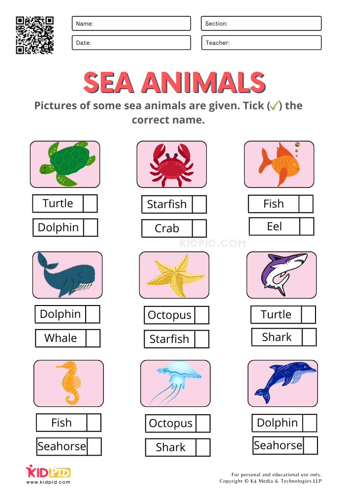 Sea Animals Worksheets for Kindergarten - Kidpid