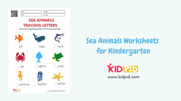 Sea Animals Worksheets for Kindergarten - Kidpid