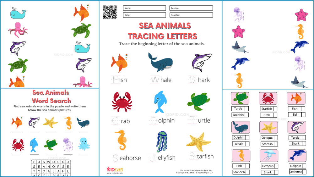 Sea Animals Worksheets for Kindergarten - Kidpid