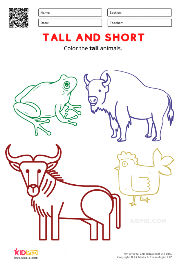 Tall & Short Worksheets for Preschool - Free Printables - Kidpid