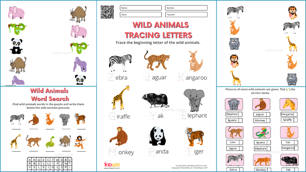 Wild Animals Worksheets for Kindergarten - Kidpid