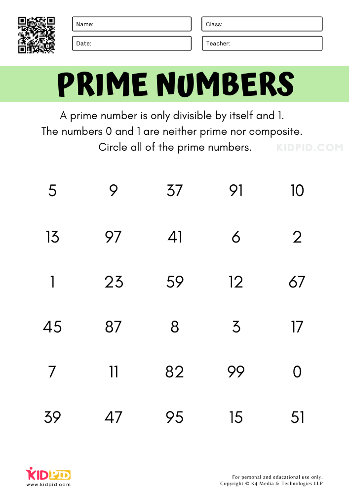 Prime Numbers Math Worksheets for Kids