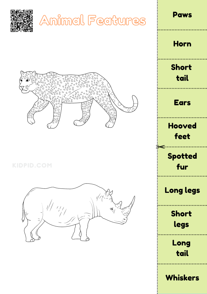 Labelling Animal Features Worksheets for Kids