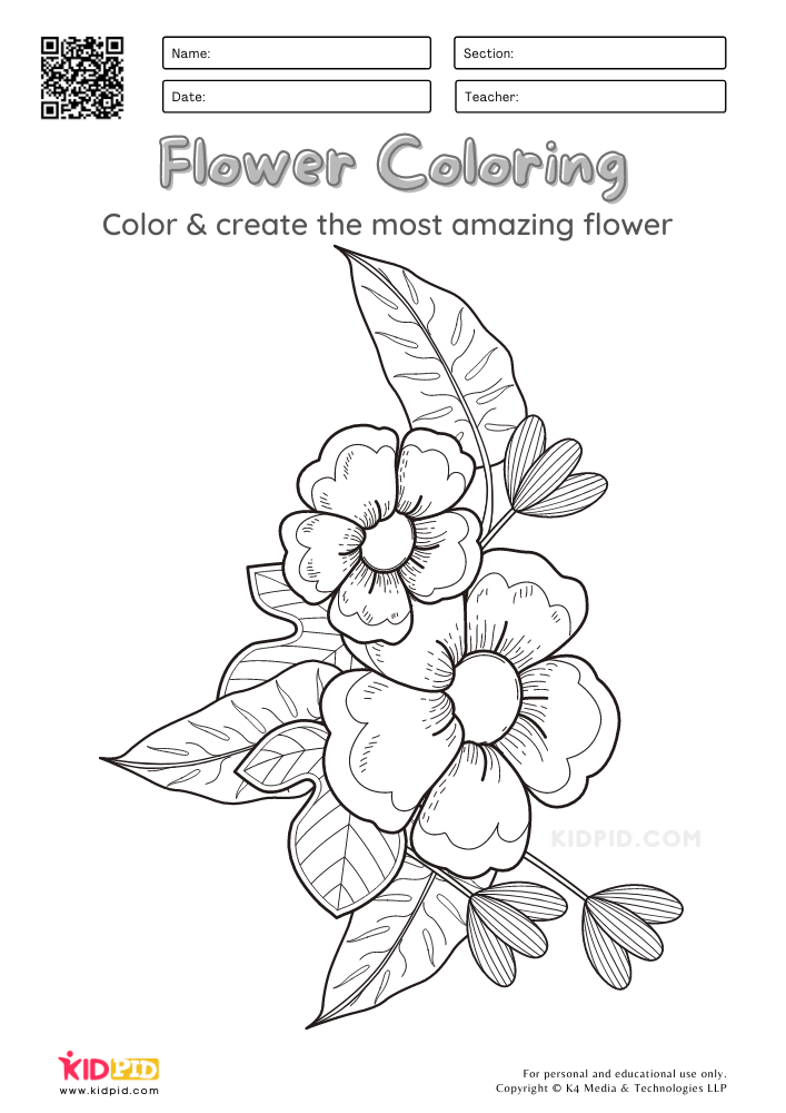 Flower Coloring Worksheets for Kids