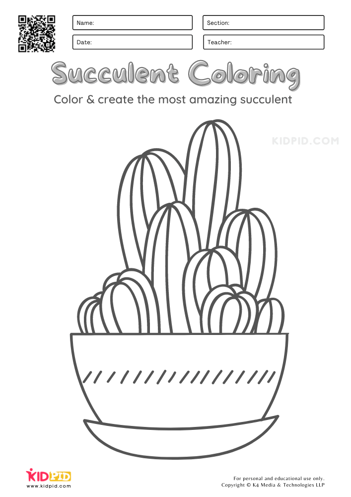 Succulent Coloring Worksheets for Kids