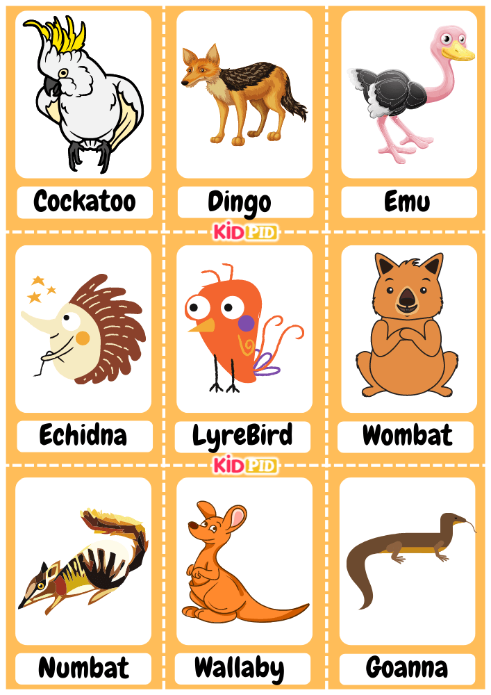 Australian Animals Flashcard Sheets