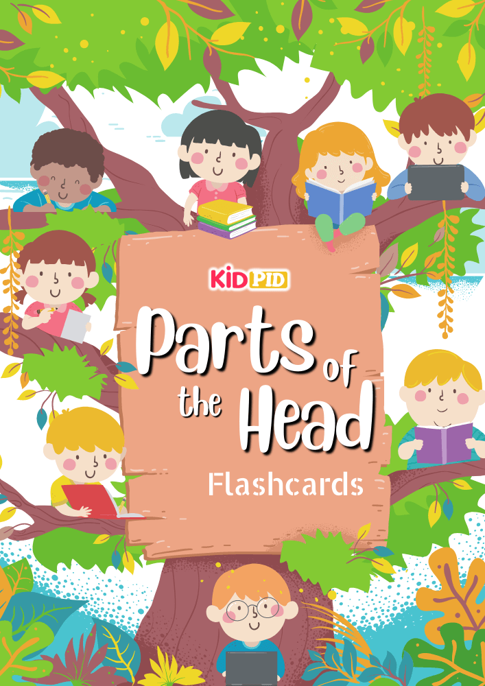 Parts of the Head Flashcard Sheets