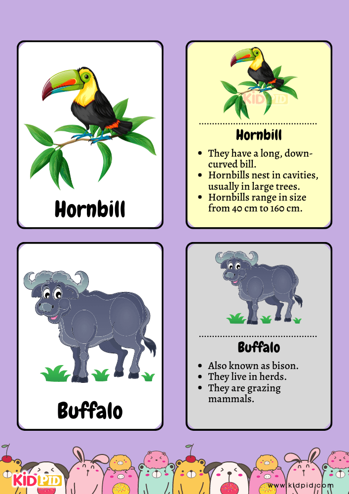 Animal Flashcards for Toddlers- 10