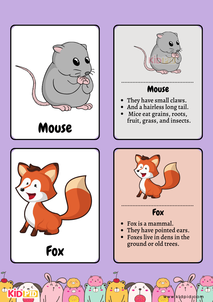 Animal Flashcards for Toddlers- 14