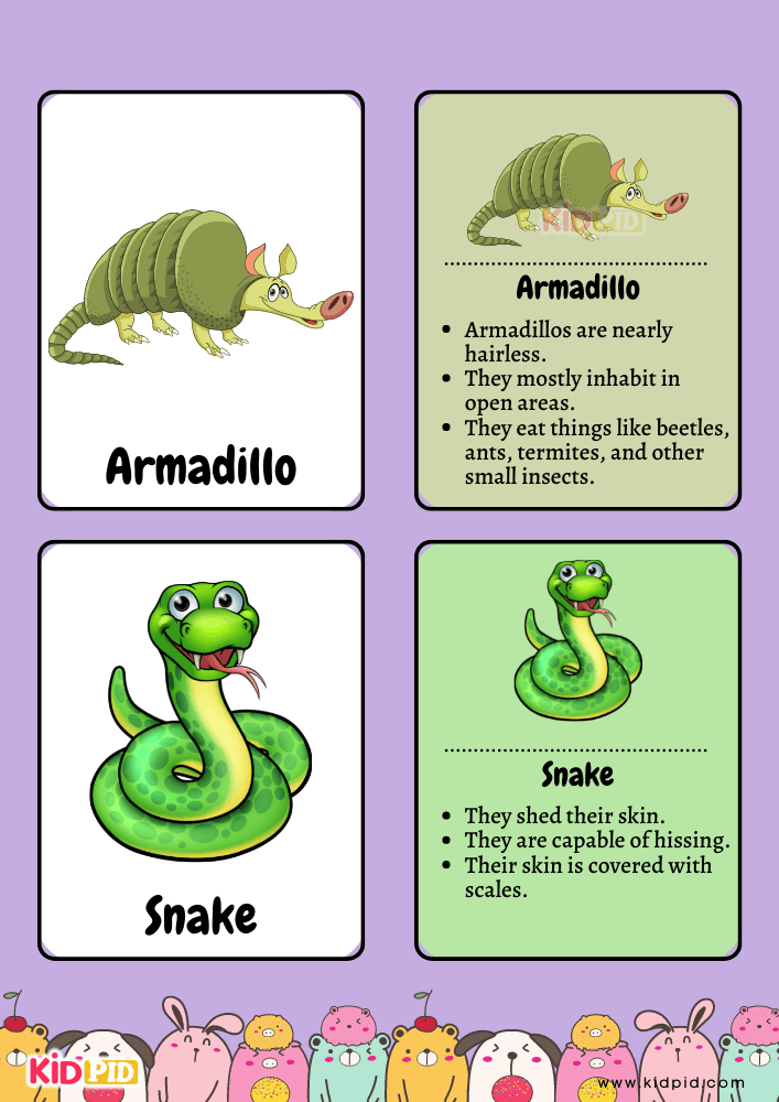 Animal Flashcards for Toddlers- 16
