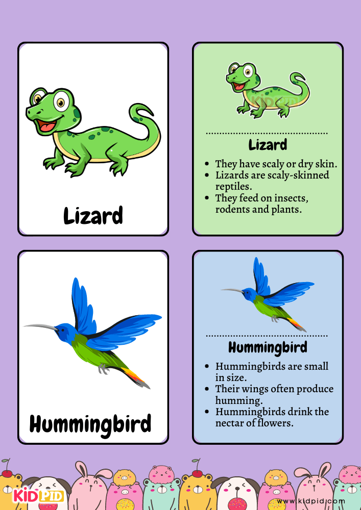 Animal Flashcards for Toddlers- 17