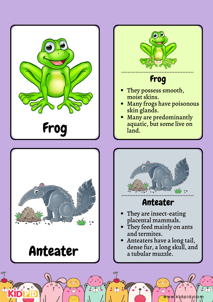 Animal Flashcards for Toddlers- 18