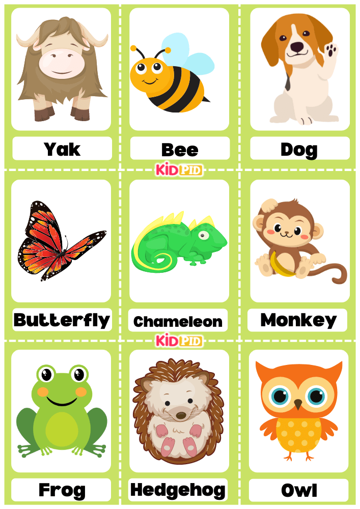 Animals Name Flashcard Sheets