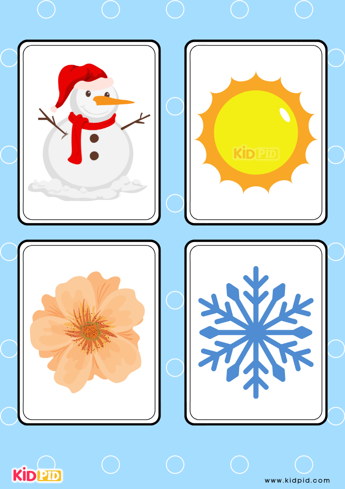 Seasons and Weather Flashcards