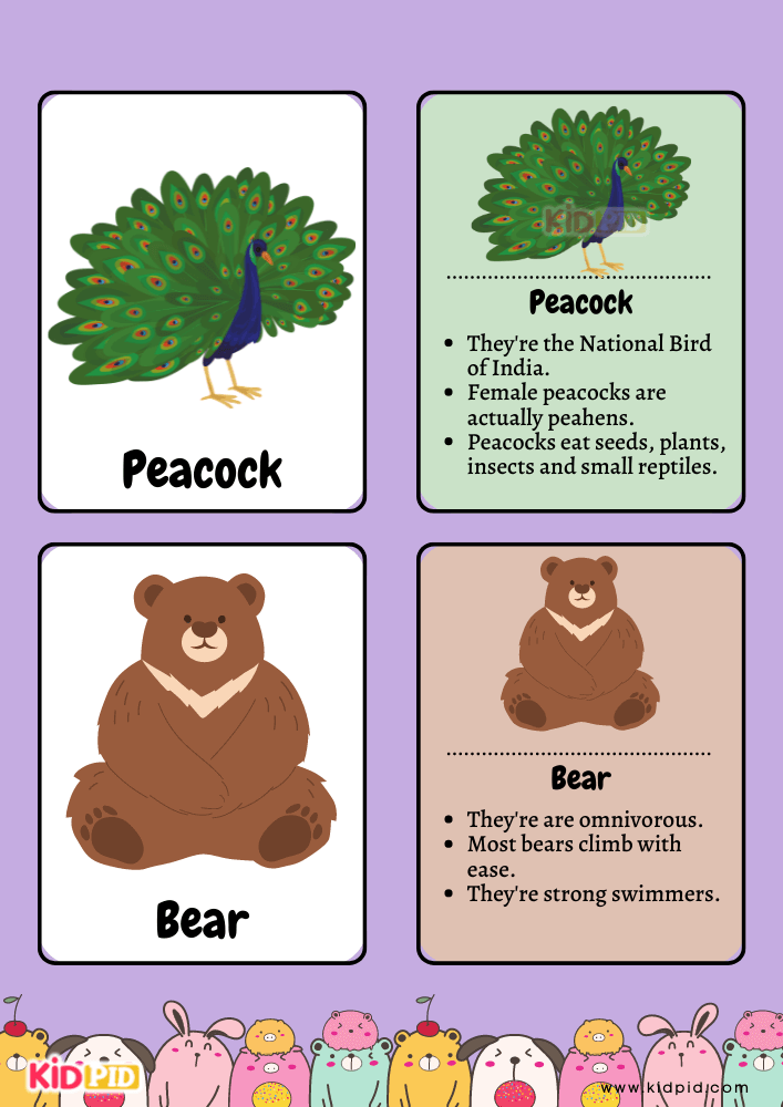 Animal Flashcards for Toddlers- 21