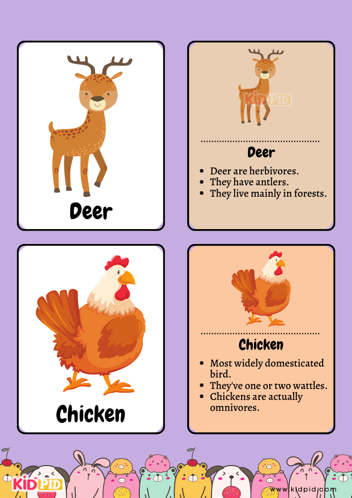 Animal Flashcards for Toddlers- 25