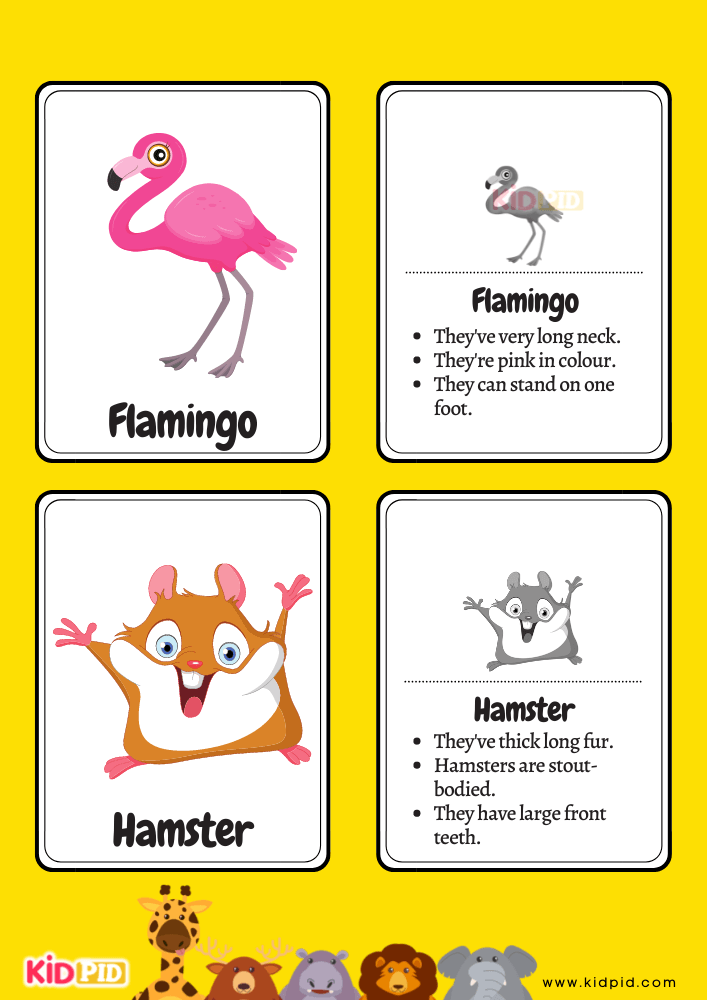 Animals Flashcards for Toddlers- 3