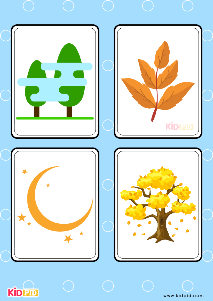 Seasons and Weather Flashcards
