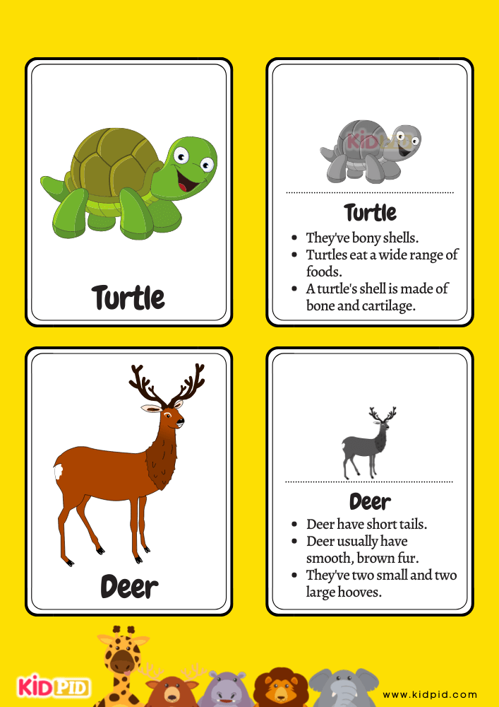 Animals Flashcards for Toddlers- 5