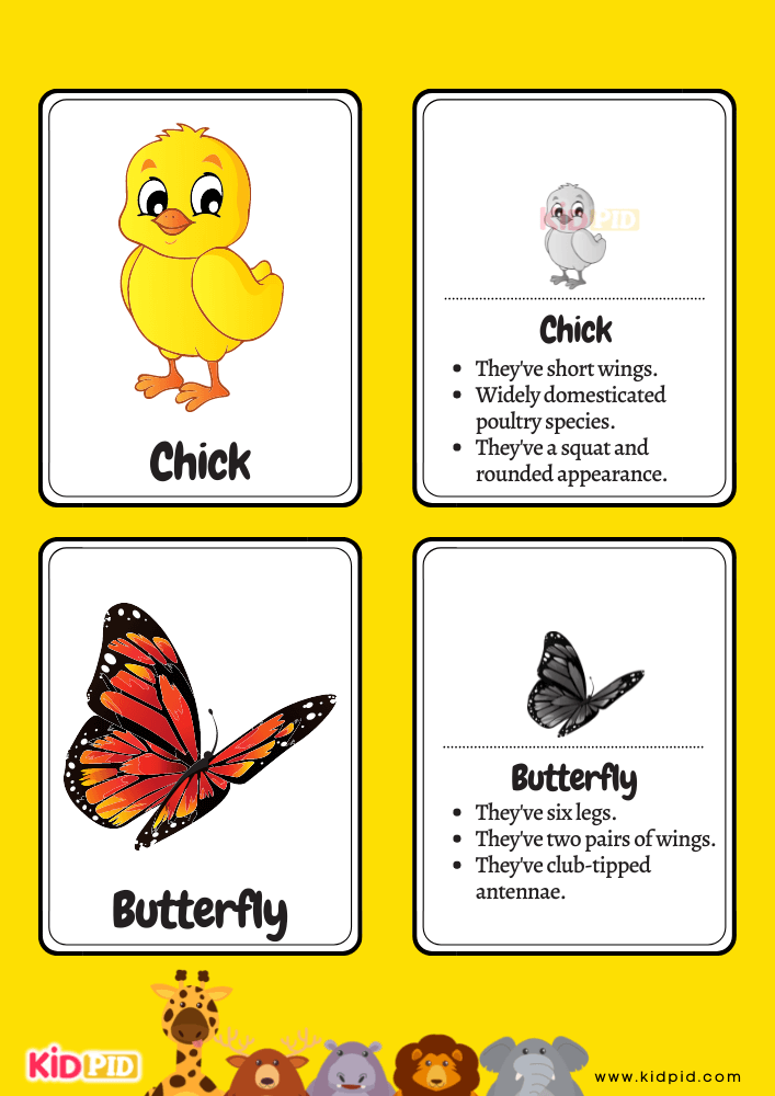Animals Flashcards for Toddlers- 6