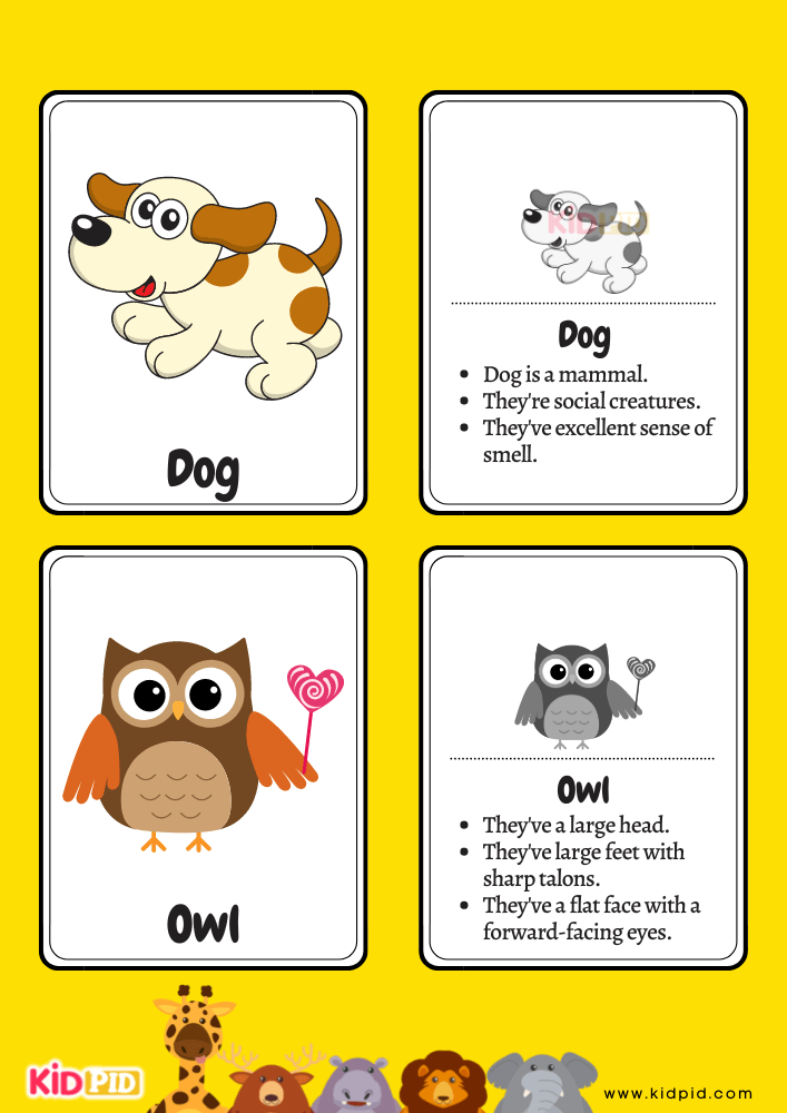 Animals Flashcards for Toddlers- 7