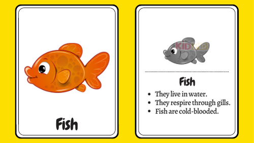 Animals Flashcards for Kids - Kidpid
