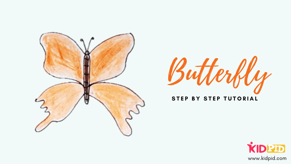 https://www.kidpid.com/wp-content/uploads/2021/06/easy-way-to-draw-a-butterfly-for-kids.png