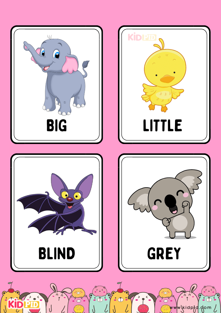  Animal Adjectives Flashcards- 3