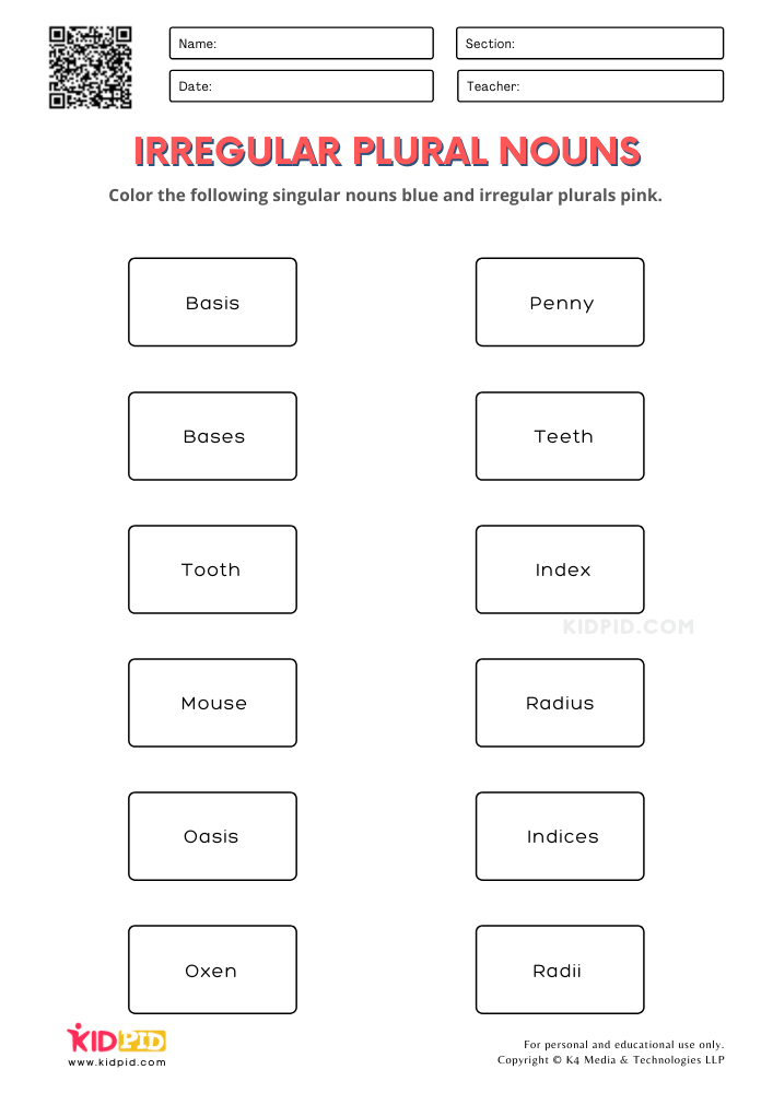 Plural Regular And Irregular Noun Worksheets