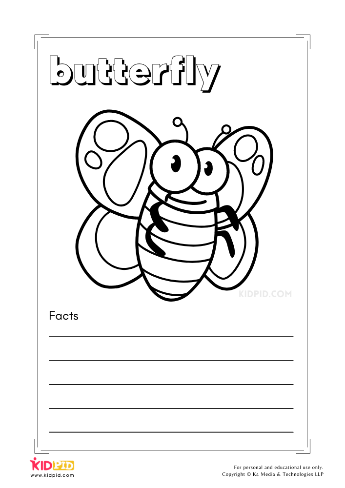 Minibeasts Coloring and Writing Book