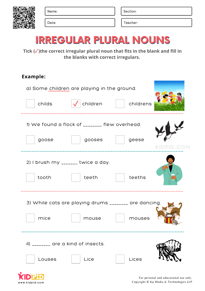 Printable Irregular Plural Nouns Worksheet
