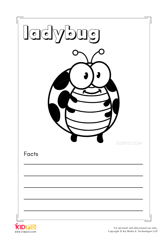 Minibeasts Coloring and Writing Book