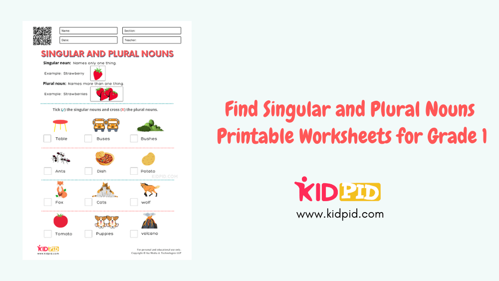Find Singular and Plural Nouns Printable Worksheets for Grade 1 - Kidpid