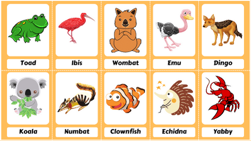 Australian Animals Flashcard Sheets Feature Image