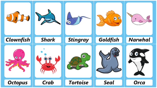 Sea Creatures Handdrawn Flashcard Sheets Feature Image