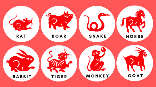 Chinese Zodiac Flashcards Feature Image