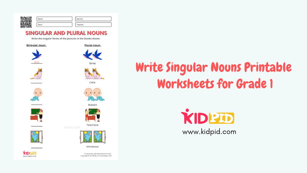 Write Singular Nouns Printable Worksheets for Grade 1 - Kidpid