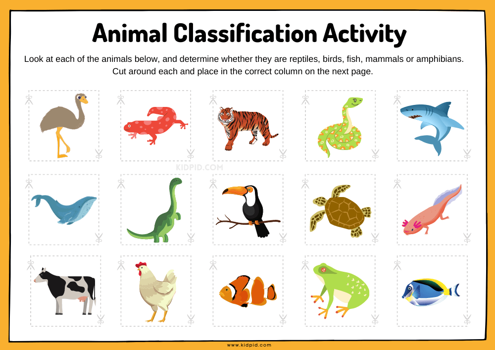 Animal Classification Sorting Worksheet - Kidpid