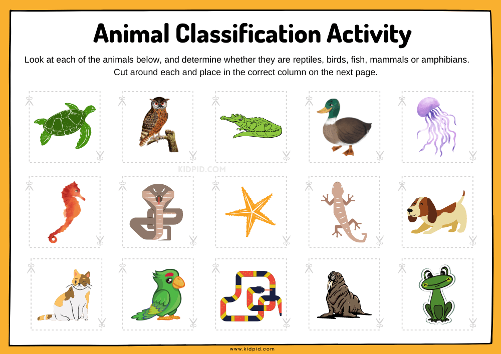 Animal Classification Worksheets K5 Learning School Express 